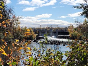 Chute Pond Park & Campground