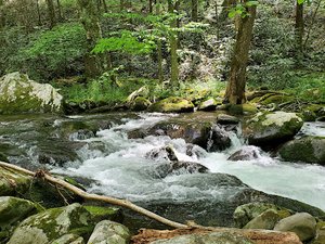 Middle Prong Trail Trailhead