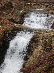 Wildcat Run