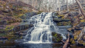 Falls Brook Falls