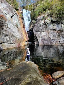 Paradise Falls