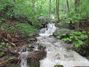 Yankee Horse Ridge Trailhead to Wigwam Falls