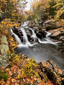 Ellis Falls