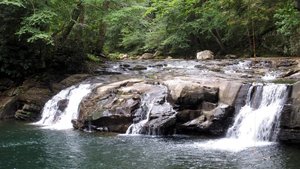 Lower Glade Creek Trailhead
