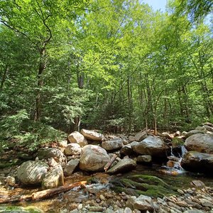 East Dorset Trail