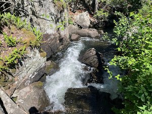 Rose Falls