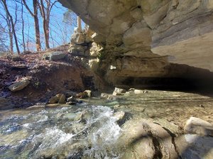 Sheep Cave