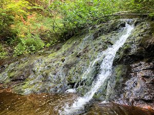 Monk Trails