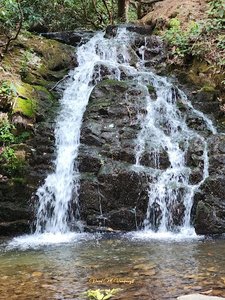 Martin Creek Falls