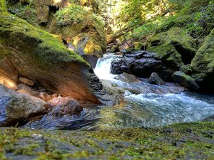 Shadow Falls Trail head