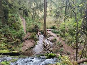 Boy Scout Tree Trailhead