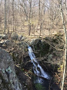 Mathews Arm Trailhead