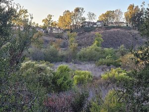 Quail Loop Trail