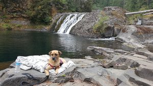 Pegleg Falls