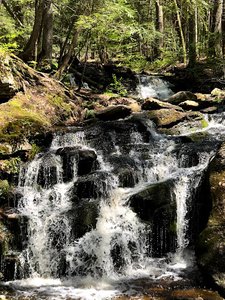 Day Pond MTB