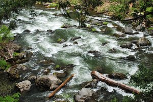 Boundary Springs