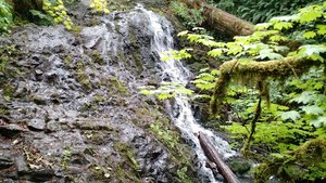 Mima Falls Trailhead and Parking Lot