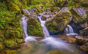 Buck Gulch Falls Trail