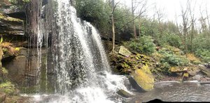 Neversink Gorge Trails