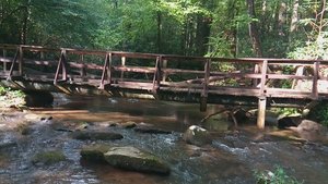 Bear Creek