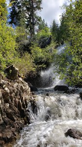 Hunter Creek