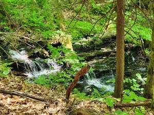Money Brook Falls Trailhead