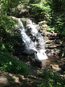Eric Falls