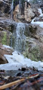 The Woodland Waterfall Trailhead