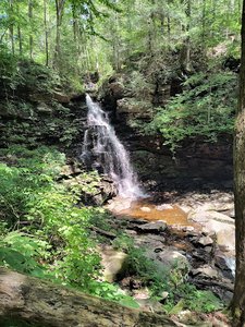Turkey Path Trail