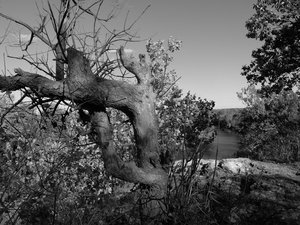 Hanging Rock