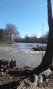 Saddler Falls