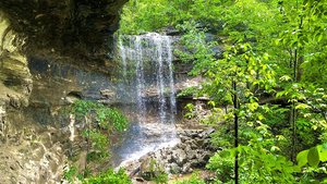 Lakeside Forest Wilderness Falls