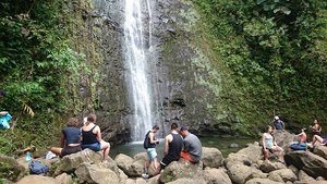 Manoa Falls