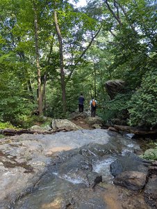 Buzzard Hill Trailhead
