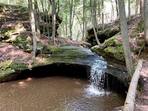 Echo Dells