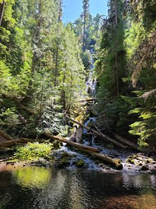 Proxy Falls Trailhead