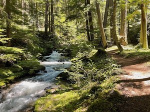 Goat Falls Trail 1189