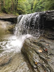 Wintergreen Gorge