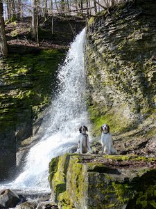Bucktail Falls