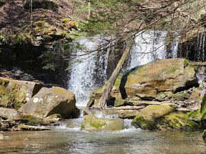Roaring Run Trailhead