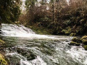 Echo Falls
