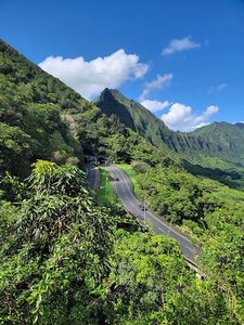 Old Pali Road Hike