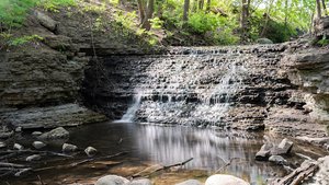 Blackhawk County Forest Preserve