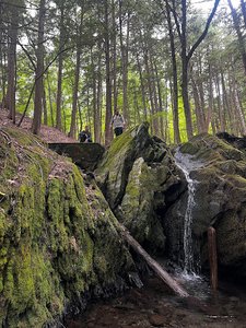 Glen Falls/Echo Mountain Trail