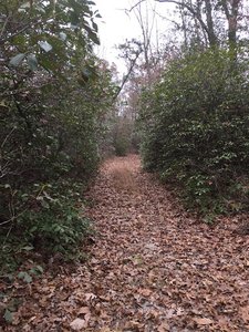 Wyncroft Trail