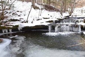 Wolf Creek Falls Preserve
