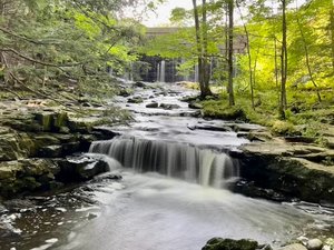 Vaughan Woods Trailhead Parking
