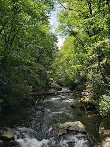 Snowbird Creek Trailhead