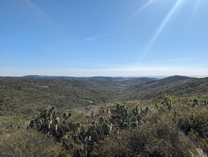 Ridge Park Crystal Cove