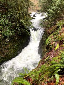 Kennedy Creek